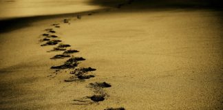 Jak podróżować za grosze?