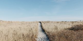 Podróż, wyprawa, wędrówka