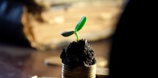 Walka z dłużnikami