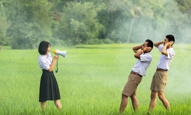 Czy lamele tłumią hałas?