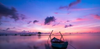 Jak wyrównać kolor drewna?