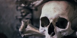 Jaka wiązanka na Wszystkich Świętych?