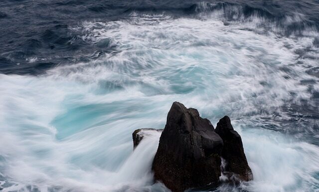 Jakie są ceny wiązanek na Wszystkich Świętych? Jakie są ceny wiązanek na Wszystkich Świętych?
