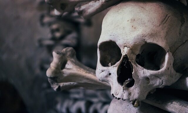 Ile wydajecie na Wszystkich Świętych? Ile wydajecie na Wszystkich Świętych?