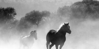 Czy można palić znicze w domu?