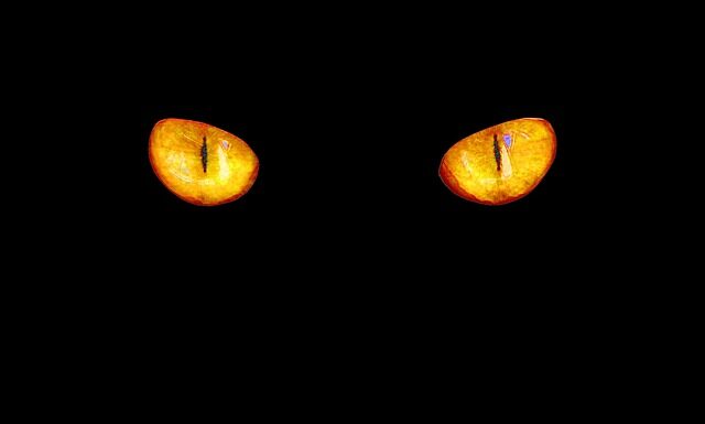 Która barwa lepsza ciepła czy zimną?