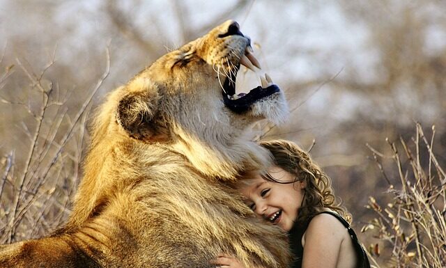 Jaka jest najlepsza bejca do drewna?