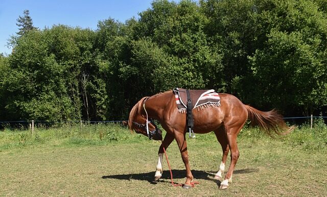 Jak zamontować lampę bez wiercenia?