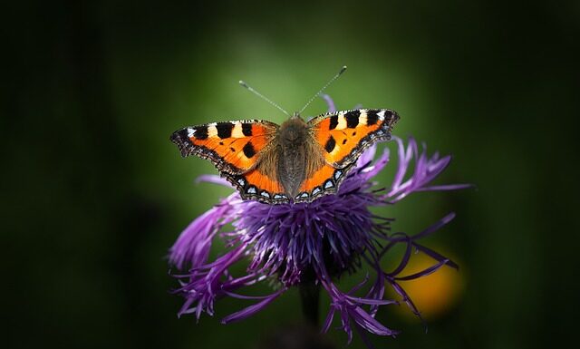 Jak obrabiać miedź?