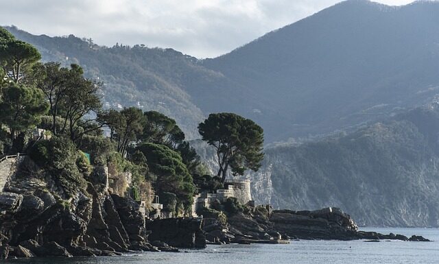 Ile kosztuje wymiana regulatora napięcia?