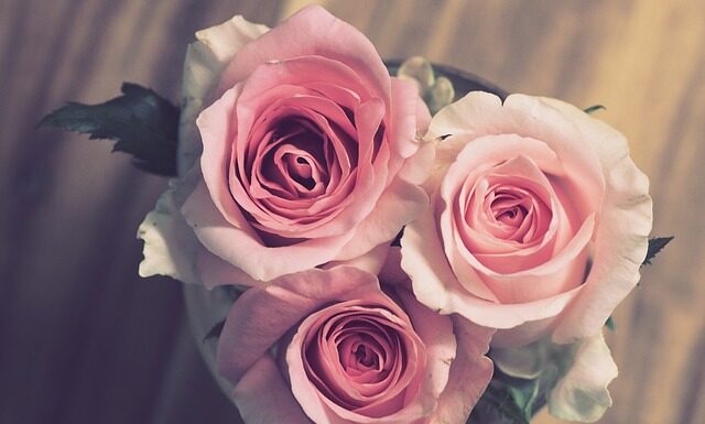 Ile daje się róż na zaręczyny?