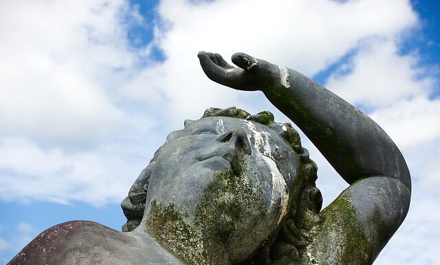 Czym usunąć odchody pająków?