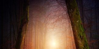 Jakie oświetlenie do pokoju 15m2?