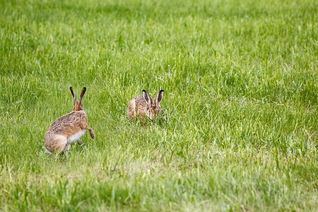 Jak zrobić fajną lampę? Jak zrobić fajną lampę?