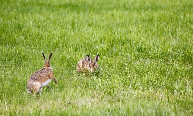 Gdzie powiesić lampę w sypialni?