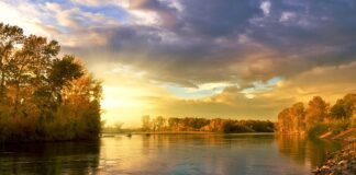 Jakie kolory kwiatów łączyć ze sobą?