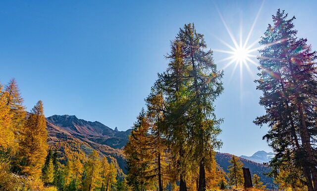 Jak się robi masę solną?