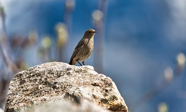 Jak usunąć pleśń z rolety dzień noc?