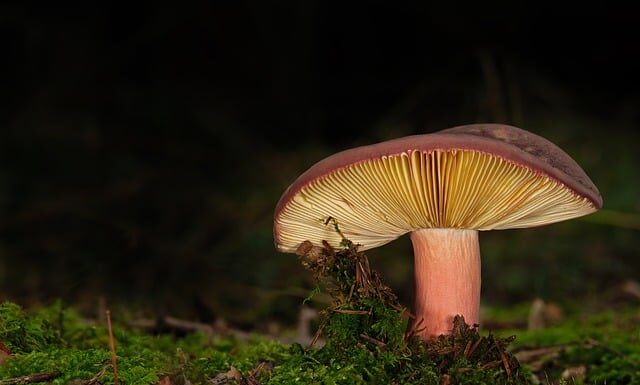 Jak zamontować lamele na ścianie?