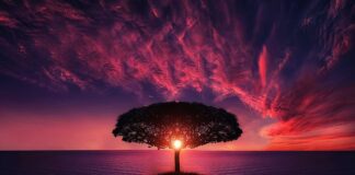 Jak oświetlić wyspę kuchenną?