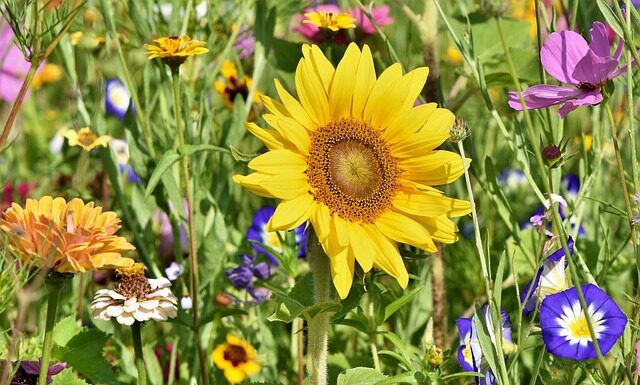 Jak zrobić domowy kwietnik?
