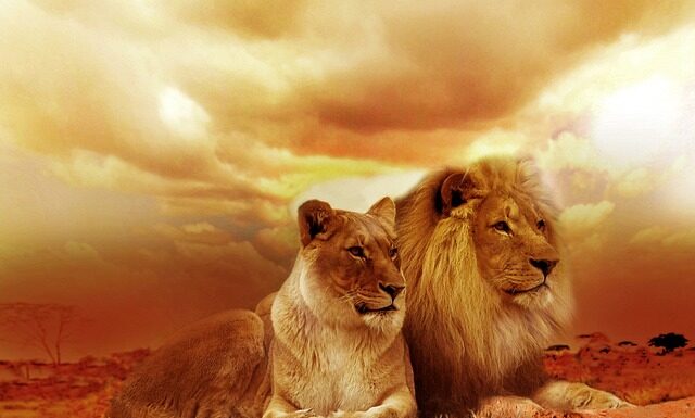 Jak podświetlić duże drzewo?